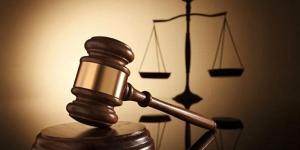 تأجيل محاكمة تشكيل عصابي بتهمة سرقة الشقق بمدينة نصر لجلسة 11 يوليو - المدينة برس