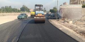 تنفيذ 298 مشروعًا بإجمالي استثمارات 19 مليارا و437 مليون جنيه بالبحيرة (صور) - المدينة برس