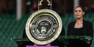 دوري المغرب في الجولة قبل الأخيرة - بوابة المدينة برس