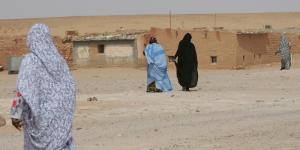 إعلان جنيف يدعو لإحصاء لاجئي تندوف - بوابة المدينة برس