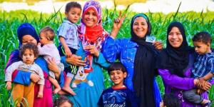شروط جديدة للحصول على معاش تكافل - المدينة برس