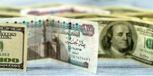 رسميا، سعر صرف الدولار أمام الجنيه في البنوك (تحديث لحظي) - المدينة برس