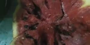 تاجر بطيخ يثير الجدل في المنوفية، ادعى أن "البطيخ مسموم" وتحدّى التجار ويطالب بالتحقيق (فيديو) - المدينة برس