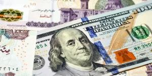 تمويلات ضخمة تعزز موقف الجنيه المصري أمام الدولار - بوابة المدينة برس