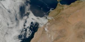 "الشرگي" و"الفوهن" يلهبان أجواء المغرب.. والأرصاد تنبه إلى مخاطر صحية - بوابة المدينة برس