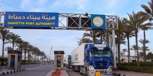 السفينة اليونانية MARAN GAS AMORGOS ترسو في دمياط لتفريغ 71 ألف طن غاز مسال - المدينة برس