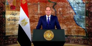 السيسي يوجه بتنشيط الحياة الحزبية وتأهيل الكوادر السياسية وإجراء انتخابات المجالس المحلية - المدينة برس