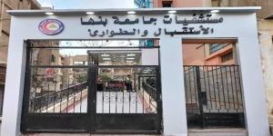 مستشفيات بنها الجامعية تستقبل 375 حالة تسمم خلال يونيو الماضي - المدينة برس