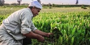 توافق بين النواب والحكومة بشأن أزمة إيجار أراضي الأوقاف - المدينة برس