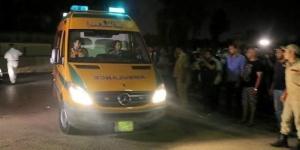 جريمة مأساوية في الغربية، مسجل خطر ينهي حياة سيدة طعنا في الشارع - المدينة برس