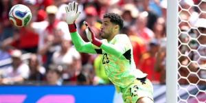 شوبير البطل وأرقام تاريخية، حصاد مشاركة مصر في كأس العالم - المدينة برس