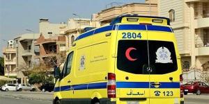النيابة تأمر بإجراء تحليل مخدرات لقائد سيارة دهس فتاة بالشروق - المدينة برس