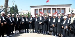 مجلس النواب يحيل الجدل حول قانون المحاماة إلى المحكمة الدستورية - بوابة المدينة برس