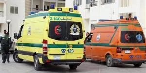 إصابة 6 أشخاص في تصادم سيارة ربع نقل وعربة كارو أعلى كوبري النيل بالمنيا - المدينة برس