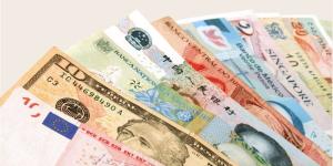 أسعار العملات العربية والأجنبية أمام الجنيه في البنك التجاري الدولي اليوم الخميس - المدينة برس