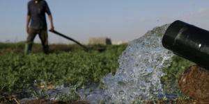 ارتفاع درجات الحرارة ونقص مياه السقي يهددان المحاصيل في العوامرة - بوابة المدينة برس