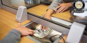 43.1 مليار دولار حصيلة تحويلات المصريين العاملين بالخارج خلال 11 شهرا - المدينة برس