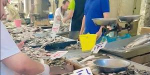 بعد واقعة التسمم بالشوبك الشرقي، مطالب برلمانية لتشديد الرقابة على الأسواق الشعبية - المدينة برس