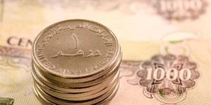 آخر تطورات سعر الدرهم الإماراتي أمام الجنيه في البنوك المصرية - المدينة برس