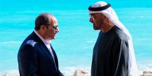 السيسي وبن زايد يؤكدان مواصلة التنسيق والعمل المشترك بشأن مختلف القضايا - المدينة برس