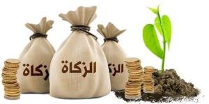 من هم "العاملين عليها" وما ضوابط صرف الزكاة لهم؟ الإفتاء تجيب - المدينة برس
