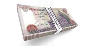 المركز الرئيسي والقاهرة الكبرى يستحوذان على 88.5% من أرباح بنك QNB مصر خلال النصف الأول من 2026 - بوابة المدينة برس