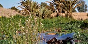 توقعات طقس اليوم الاثنين في المغرب - بوابة المدينة برس