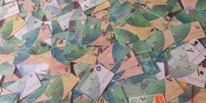تموين القليوبية: استقبال تظلمات البطاقات التموينية الموقوفة والمحذوف منها أفراد عبر 78 مكتبًا ومركز خدمة - المدينة برس