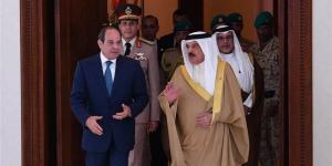 9 صور ترصد تفاصيل زيارة الرئيس السيسي اليوم إلى قطر والبحرين - المدينة برس