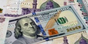 تراجع سعر صرف الدولار في البنوك المصرية (آخر تحديث) - المدينة برس