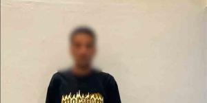 بسبب خلافات أسرية، ضبط موظف ظهر في فيديو يهدد زوجته وشقيقها بسلاح أبيض بالسويس - المدينة برس