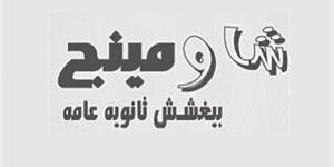 "فردة حذاء" تكشف واقعة تصوير امتحان الأحياء داخل لجنة ثانوية عامة (إنفوجراف) - المدينة برس