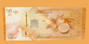 سعر الدولار مقابل الليرة في مصرف سوريا المركزي - المدينة برس