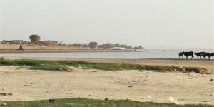 مصر تمر بسنوات قحط، خبير: أنهار السودان جفت وإثيوبيا تمنع تدفق المياه لملء سد النهضة - المدينة برس