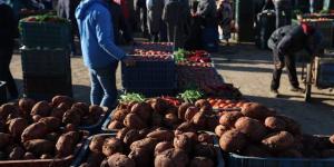 أسواق الجملة تسجل انخفاضا في أسعار الخضر والفواكه مع وفرة الإنتاج - بوابة المدينة برس