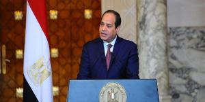 السيسي يؤكد أهمية زيادة معدلات التبادل التجاري مع تنزانيا - المدينة برس