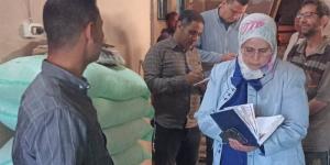 تحرير 2031 محضرا تموينيا وضبط آلاف السلع الفاسدة والدقيق المدعم بالفيوم - المدينة برس