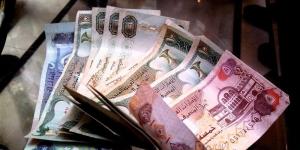 استقرار سعر الدرهم الاماراتي أمام الجنيه في البنك المركزي اليوم الأحد - المدينة برس
