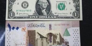 تراجع سعر الجنيه السوداني مقابل الدولار في بنك السودان المركزي - المدينة برس