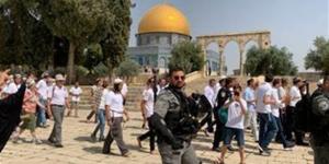 100 مستوطن إسرائيلي يقتحمون المسجد الأقصى - المدينة برس