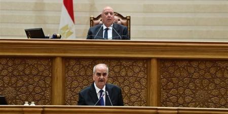 مجلس النواب يوافق نهائيا على مشروع قانون جهاز مستقبل مصر - المدينة برس