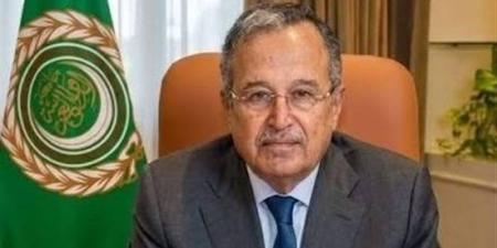 نبيل فهمي يؤكد ثوابت موقف الجامعة العربية الداعم لوحدة السودان وسيادته - المدينة برس