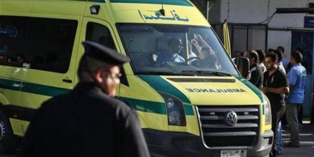 مشاجرة في المنصورة تنتهي بمقتل شاب بطعنة نافذة بالبطن - المدينة برس
