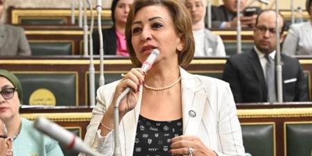 مها عبدالناصر عن قانون "مستقبل مصر": إنشاء كيانات موازية ليس هو الطريق الصحيح للإصلاح - المدينة برس