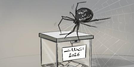 العزوف عن التصويت - بوابة المدينة برس