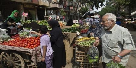 إلى أين يتجه الغلاء المعيشي ومتى تنخفض الأسعار فى مصر؟ خبير يوضح - المدينة برس