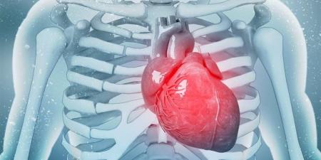 5 فيتامينات ضرورية لحماية القلب، ونقصها يسبب مضاعفات خطيرة - المدينة برس