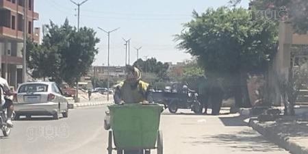 لقمة العيش الحلال، عمال النظافة بالإسماعيلية يعملون تحت درجة حرارة تتجاوز الـ40 (صور) - المدينة برس