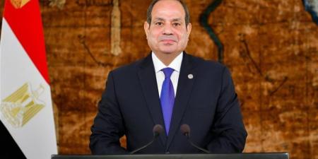 السيسي: أطلقنا "حياة كريمة" ليحيا ملايين المصريين في بيئة حضارية تليق بكرامتهم الإنسانية - المدينة برس