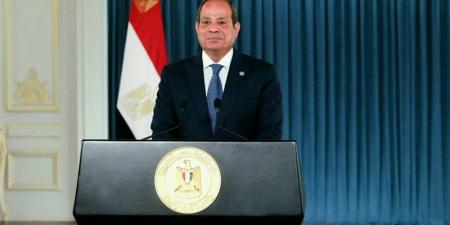 السيسي: نسعى لتوطين الصناعة وتحقيق التنمية الشاملة - المدينة برس
